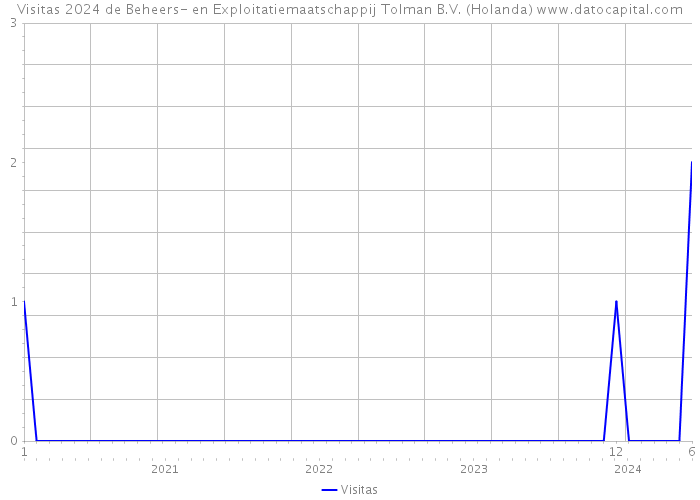 Visitas 2024 de Beheers- en Exploitatiemaatschappij Tolman B.V. (Holanda) 