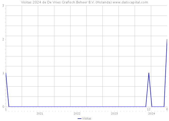 Visitas 2024 de De Vries Grafisch Beheer B.V. (Holanda) 