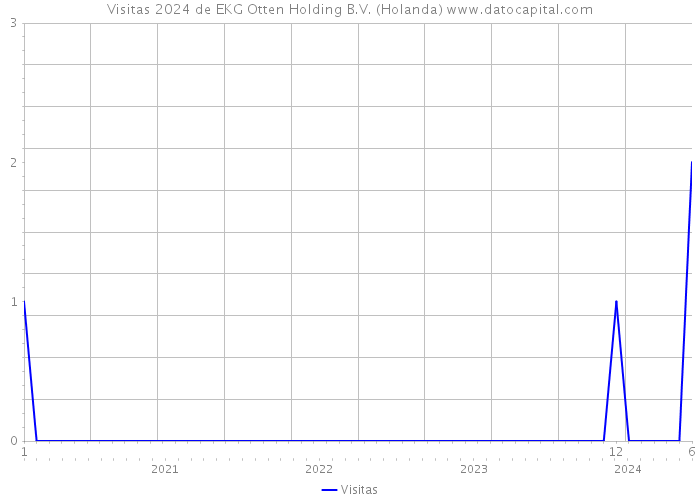 Visitas 2024 de EKG Otten Holding B.V. (Holanda) 