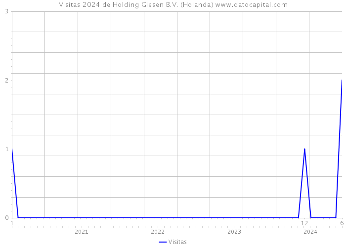 Visitas 2024 de Holding Giesen B.V. (Holanda) 