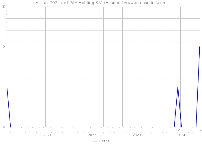 Visitas 2024 de PP&A Holding B.V. (Holanda) 