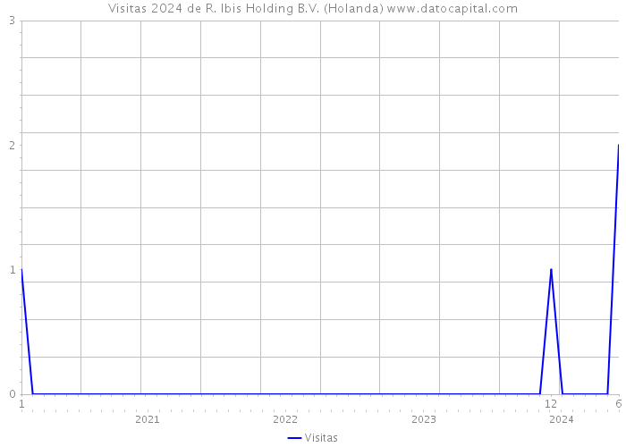 Visitas 2024 de R. Ibis Holding B.V. (Holanda) 