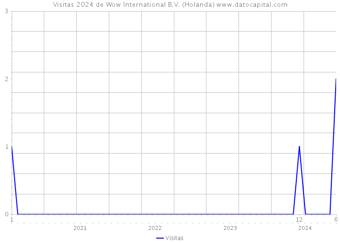 Visitas 2024 de Wow International B.V. (Holanda) 