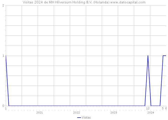Visitas 2024 de MH Hilversum Holding B.V. (Holanda) 