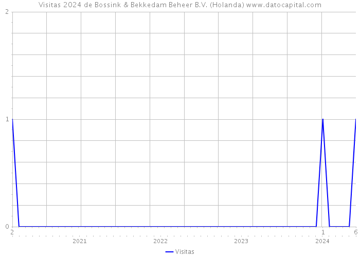 Visitas 2024 de Bossink & Bekkedam Beheer B.V. (Holanda) 