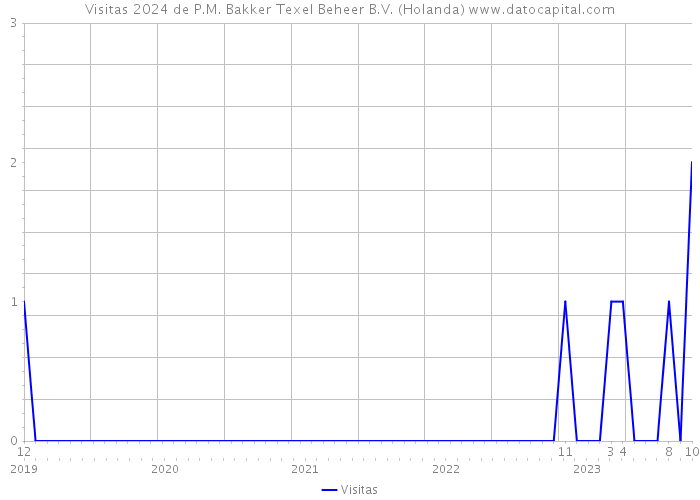 Visitas 2024 de P.M. Bakker Texel Beheer B.V. (Holanda) 