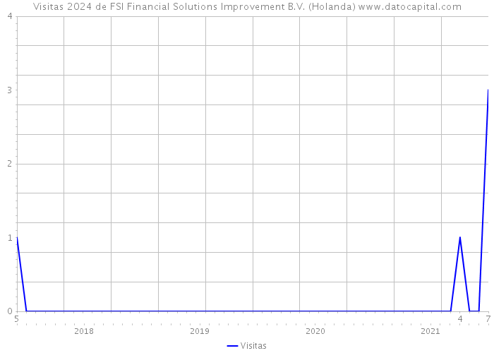 Visitas 2024 de FSI Financial Solutions Improvement B.V. (Holanda) 