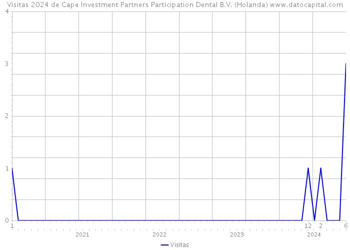 Visitas 2024 de Cape Investment Partners Participation Dental B.V. (Holanda) 