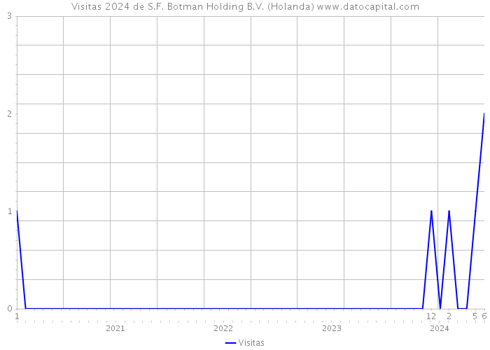 Visitas 2024 de S.F. Botman Holding B.V. (Holanda) 