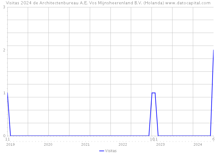 Visitas 2024 de Architectenbureau A.E. Vos Mijnsheerenland B.V. (Holanda) 
