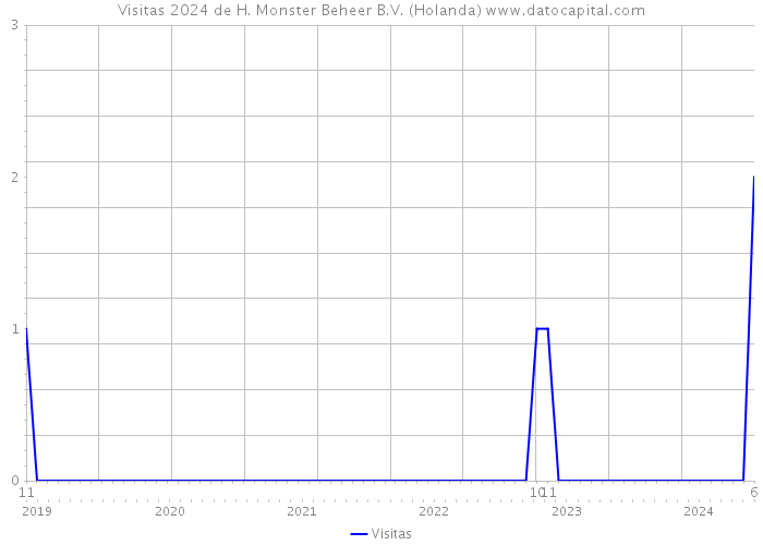 Visitas 2024 de H. Monster Beheer B.V. (Holanda) 