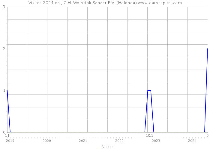 Visitas 2024 de J.C.H. Wolbrink Beheer B.V. (Holanda) 