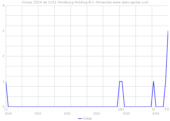 Visitas 2024 de G.H.J. Homburg Holding B.V. (Holanda) 