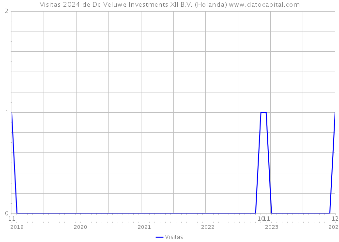 Visitas 2024 de De Veluwe Investments XII B.V. (Holanda) 