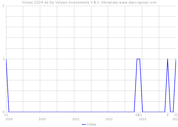 Visitas 2024 de De Veluwe Investments V B.V. (Holanda) 