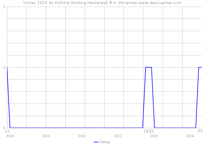 Visitas 2024 de Hofstra Holding Haulerwijk B.V. (Holanda) 