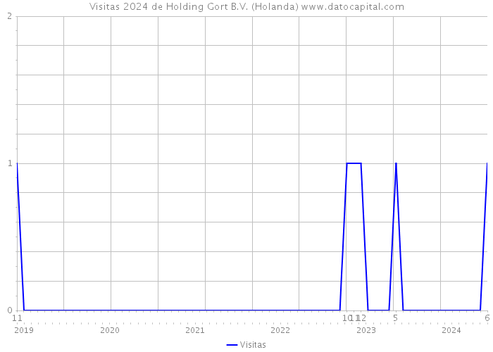 Visitas 2024 de Holding Gort B.V. (Holanda) 