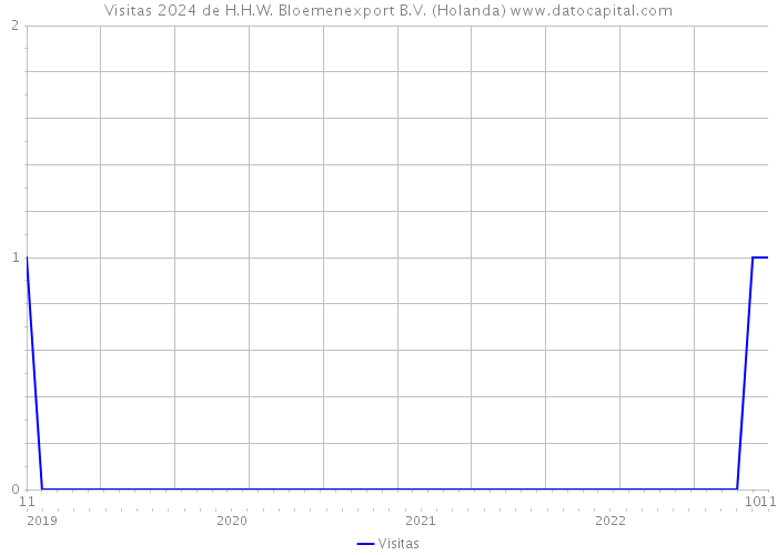 Visitas 2024 de H.H.W. Bloemenexport B.V. (Holanda) 