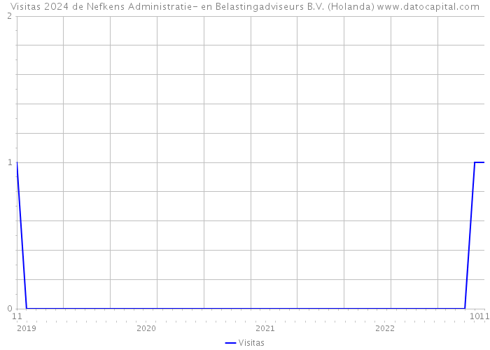 Visitas 2024 de Nefkens Administratie- en Belastingadviseurs B.V. (Holanda) 