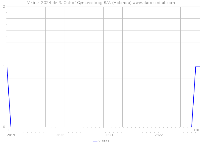 Visitas 2024 de R. Olthof Gynaecoloog B.V. (Holanda) 