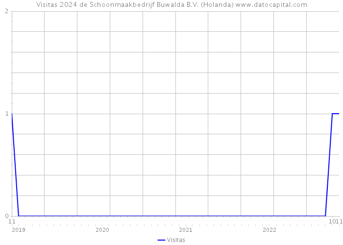 Visitas 2024 de Schoonmaakbedrijf Buwalda B.V. (Holanda) 