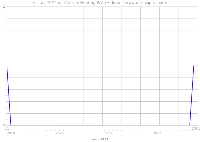 Visitas 2024 de Voorste Holding B.V. (Holanda) 