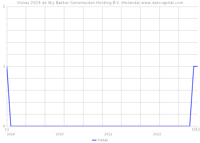 Visitas 2024 de W.J. Bakker Genemuiden Holding B.V. (Holanda) 