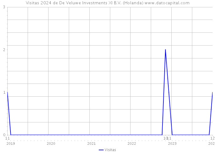 Visitas 2024 de De Veluwe Investments XI B.V. (Holanda) 