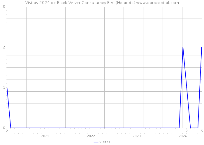 Visitas 2024 de Black Velvet Consultancy B.V. (Holanda) 