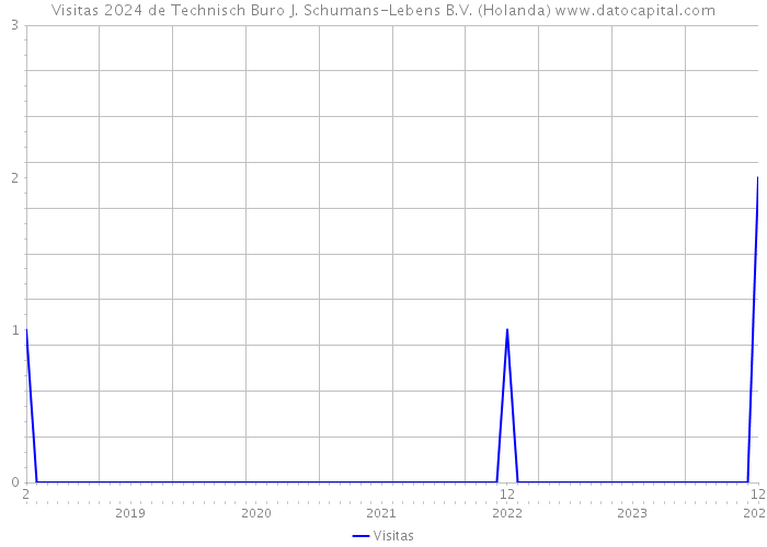 Visitas 2024 de Technisch Buro J. Schumans-Lebens B.V. (Holanda) 