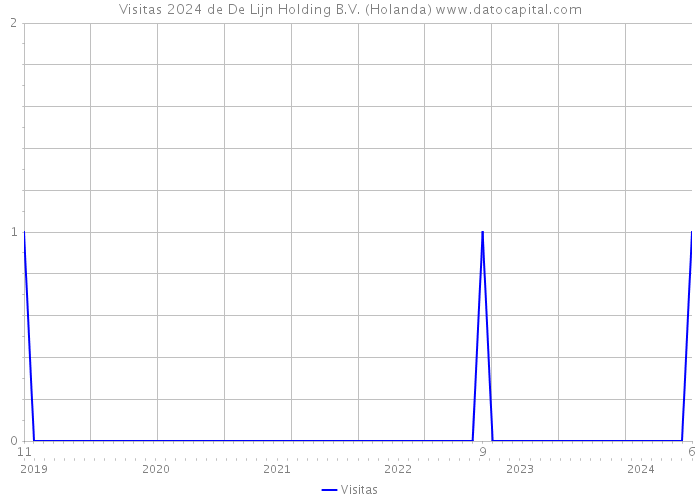 Visitas 2024 de De Lijn Holding B.V. (Holanda) 