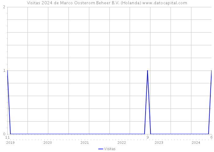 Visitas 2024 de Marco Oosterom Beheer B.V. (Holanda) 