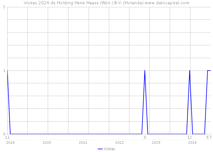 Visitas 2024 de Holding Henk Haase (Wzn.) B.V. (Holanda) 