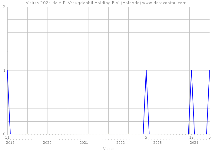 Visitas 2024 de A.P. Vreugdenhil Holding B.V. (Holanda) 