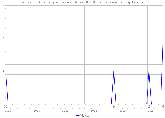 Visitas 2024 de Berg Sappemeer Beheer B.V. (Holanda) 
