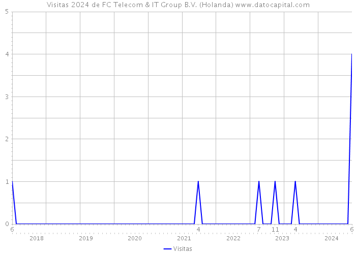Visitas 2024 de FC Telecom & IT Group B.V. (Holanda) 