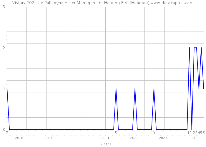 Visitas 2024 de Palladyne Asset Management Holding B.V. (Holanda) 