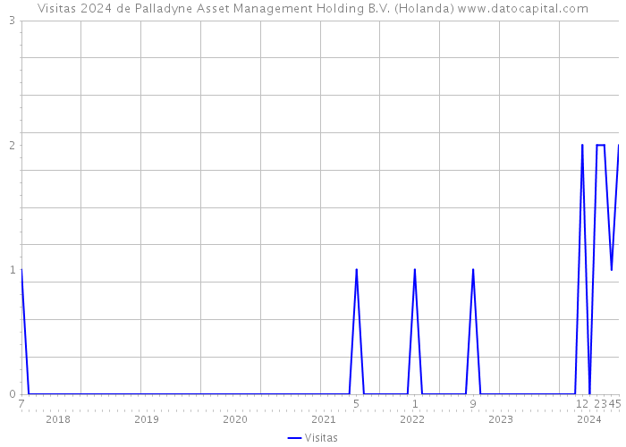 Visitas 2024 de Palladyne Asset Management Holding B.V. (Holanda) 