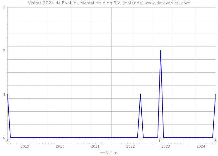 Visitas 2024 de Booijink Metaal Holding B.V. (Holanda) 