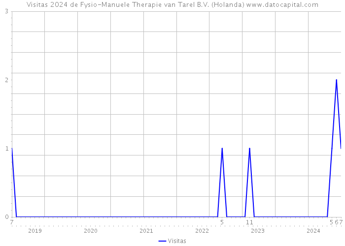 Visitas 2024 de Fysio-Manuele Therapie van Tarel B.V. (Holanda) 