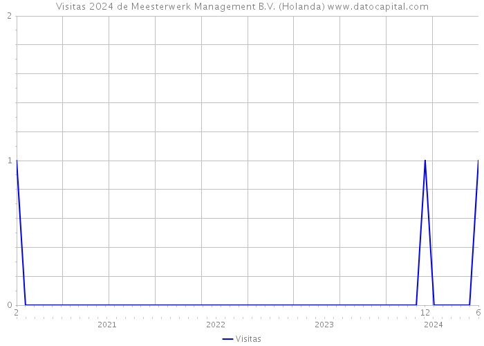 Visitas 2024 de Meesterwerk Management B.V. (Holanda) 