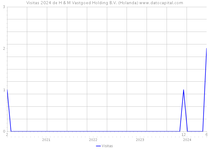 Visitas 2024 de H & M Vastgoed Holding B.V. (Holanda) 