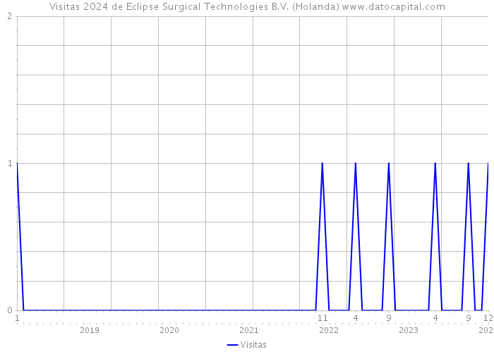 Visitas 2024 de Eclipse Surgical Technologies B.V. (Holanda) 
