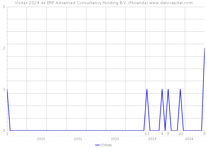 Visitas 2024 de ERP Advanced Consultancy Holding B.V. (Holanda) 