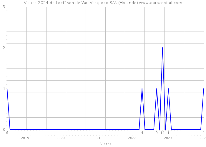 Visitas 2024 de Loeff van de Wal Vastgoed B.V. (Holanda) 