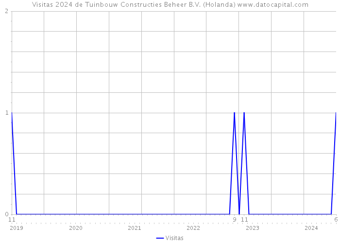 Visitas 2024 de Tuinbouw Constructies Beheer B.V. (Holanda) 