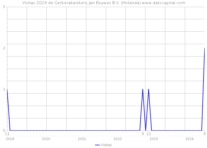 Visitas 2024 de Gerberakwekerij Jan Eeuwes B.V. (Holanda) 