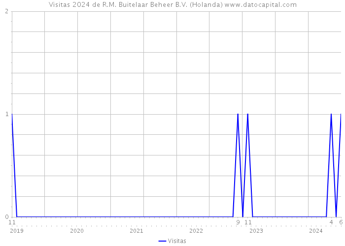 Visitas 2024 de R.M. Buitelaar Beheer B.V. (Holanda) 