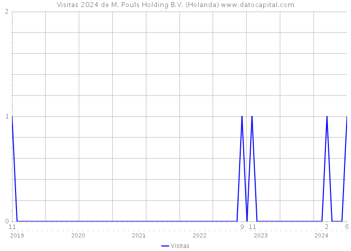 Visitas 2024 de M. Pouls Holding B.V. (Holanda) 