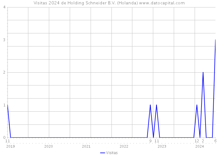 Visitas 2024 de Holding Schneider B.V. (Holanda) 